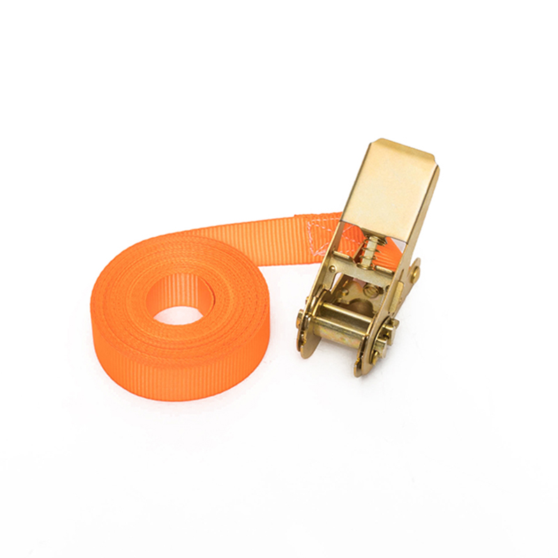 1 inci 25mm*500kg/800kg Tali Ratchet Loop Endless